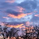 Onet-Village 27/12/2025