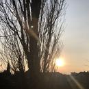 Mours-Saint-Eusèbe 29/12/2025