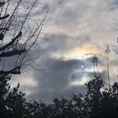 Mours-Saint-Eusèbe 29/12/2025