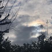 Mours-Saint-Eusèbe 29/12/2025