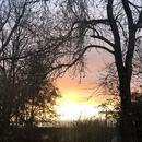 Romans-sur-Isère 29/12/2025