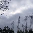 Mours-Saint-Eusèbe 29/12/2025