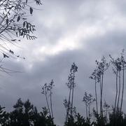 Mours-Saint-Eusèbe 29/12/2025