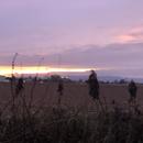 Romans-sur-Isère 29/12/2025