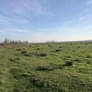 Ludon-Médoc 29/12/2025