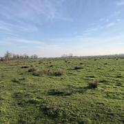 Ludon-Médoc 29/12/2025