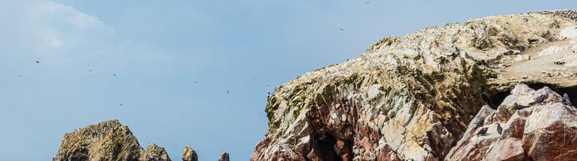 Les îles Ballestas, immersion spectaculaire au cœur du Pacifique péruvien