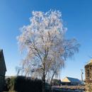 Sargé-sur-Braye 04/01/2026