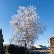 Sargé-sur-Braye 04/01/2026