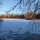 Bussy-Saint-Georges 04/01/2026