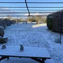 Le Mesnil-Saint-Firmin 04/01/2026