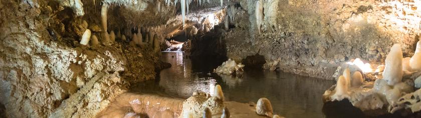 Harrison’s Cave, plongée spectaculaire sous la Barbade