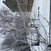 Saint-Brice-sous-Forêt 05/01/2026