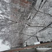 19e arrondissement (Buttes-Chaumont) 05/01/2026