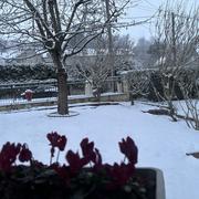 Saint-Brice 06/01/2026