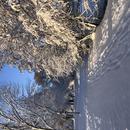 Parthenay 06/01/2026