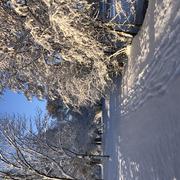 Parthenay 06/01/2026