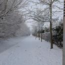 Bussy-Saint-Georges 06/01/2026