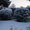 Bussy-Saint-Georges 06/01/2026