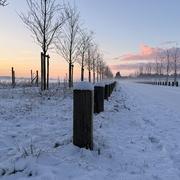 Saint-Cyr-l'École 06/01/2026