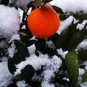 Ouled Moussa 07/01/2026