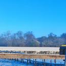 Villers-Vicomte 07/01/2026