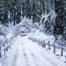 Girch Bagrote 07/01/2026