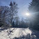 La Petite-Fosse 07/01/2026