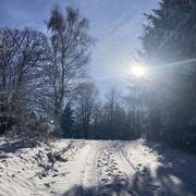 La Petite-Fosse 07/01/2026