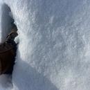 Sartrouville 07/01/2026