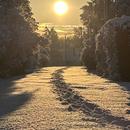 Crazannes 09/01/2026