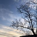 Romans-sur-Isère 10/01/2026