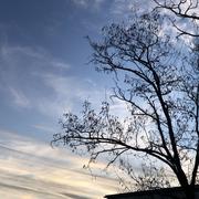 Romans-sur-Isère 10/01/2026