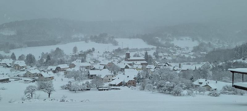  Bilan du froid et de la neige depuis Noël
