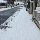 Coulommiers 11/01/2026