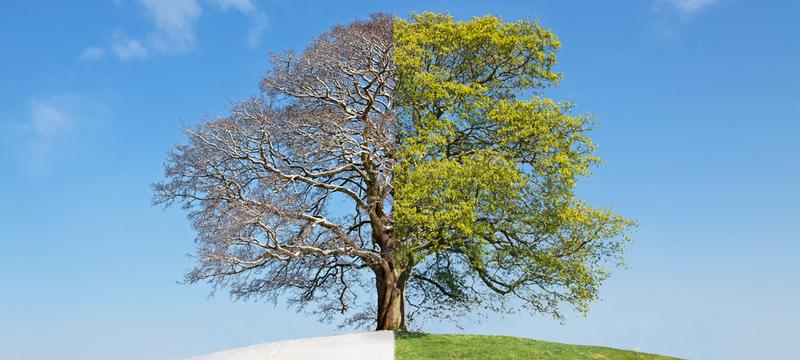  Changement d'ambiance en fin de semaine : à quoi s'attendre ?