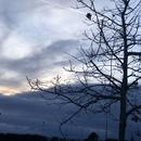 Romans-sur-Isère 14/01/2026