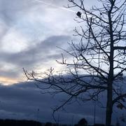 Romans-sur-Isère 14/01/2026