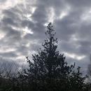 Mours-Saint-Eusèbe 14/01/2026