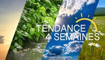 Tendance 4 Semaines