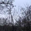 Romans-sur-Isère 18/01/2026