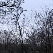 Romans-sur-Isère 18/01/2026