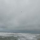 Plage Naturiste 18/01/2026