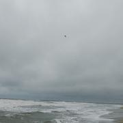 Plage Naturiste 18/01/2026