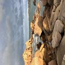 Île Renote 19/01/2026