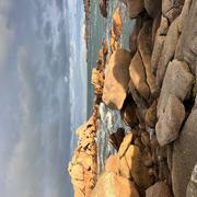 Île Renote 19/01/2026