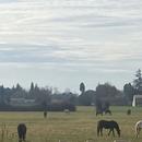 Le Pontet 20/01/2026