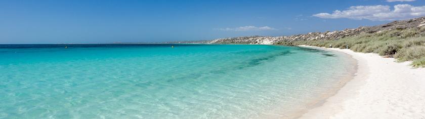 Australie: appel à éviter les plages dans l'est après des attaques de requins