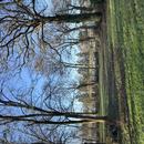 Carentoir 28/01/2026