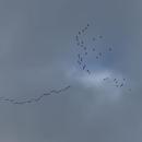 Petit-Palais-et-Cornemps 28/01/2026